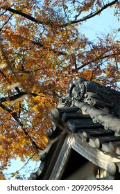 Japanese Kamakura Period　shrine Roof Design 