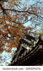 Japanese Kamakura Period　shrine Roof Design 