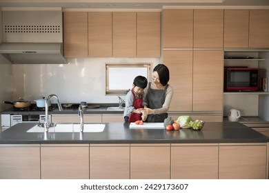 A Japanese mother and her young son happily cooking together in the dining room of their home. - Powered by Shutterstock