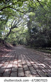 Japanese Mountain Path.