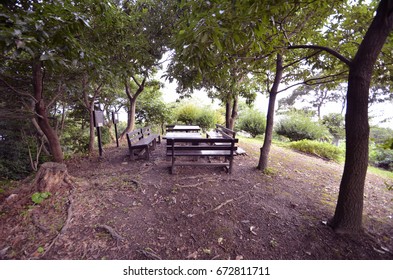 Japanese Mountain Path.