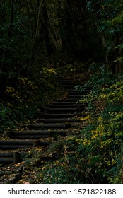 A Japanese Mountain Path And Rich Green