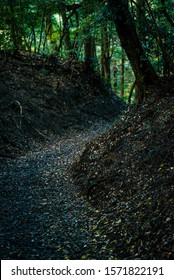 A Japanese Mountain Path And Rich Green