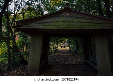 A Japanese Mountain Path And Rich Green