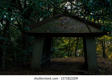 A Japanese Mountain Path And Rich Green