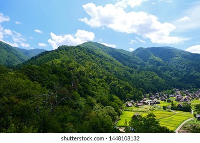 Japanese mountain village in harvest season.Shirakawa Gifu Japan.Late August.