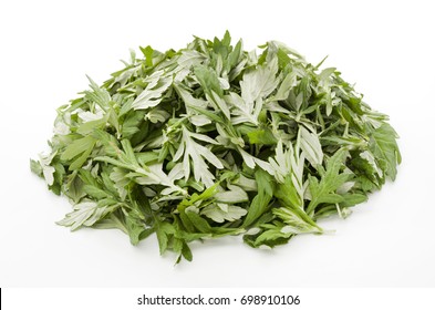 Japanese Mugwort