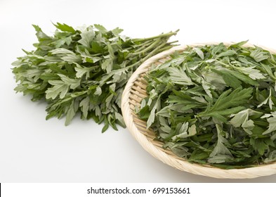 Japanese Mugwort