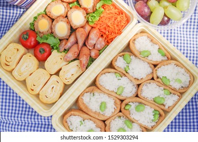 Japanese Picnic Lunch Box Bento