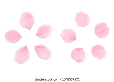 Cherry Blossom Petal Images Stock Photos Vectors Shutterstock