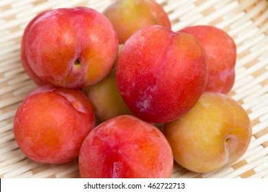 Japanese Plum