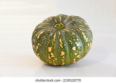 Japanese Pumpkin Or Kent Pumpkin