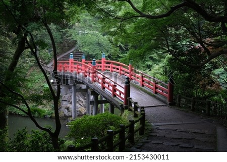Japanese Red Bridge in forest