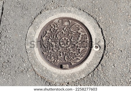 Japanese regional manhole cover art