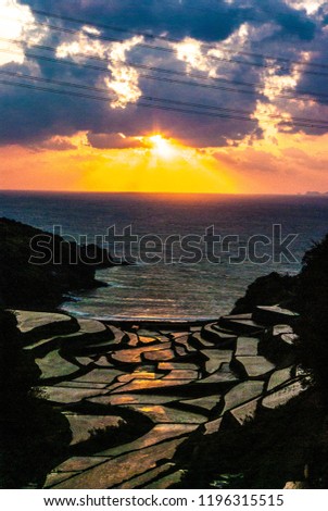 Japanese Rice-terrace fields in Saga