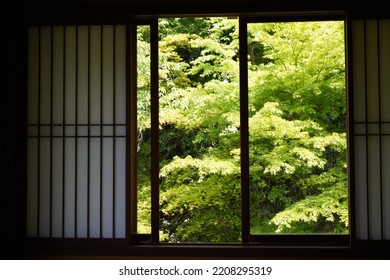 Japanese room viewing green galsses