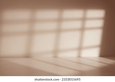 Japanese room with window shadow light
