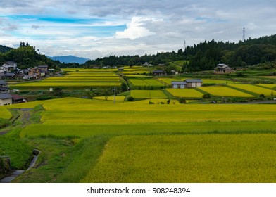 Japanese Rural Farmlands With Patches Rice Fields, Paddy. Countryside Agriculture Landscape. Magome, Japan