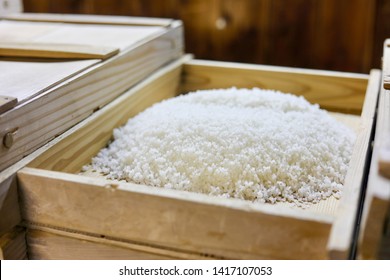 Japanese Sake Rice - Koji In Tray 