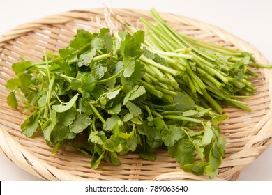 Japanese Parsley Images Stock Photos Vectors Shutterstock