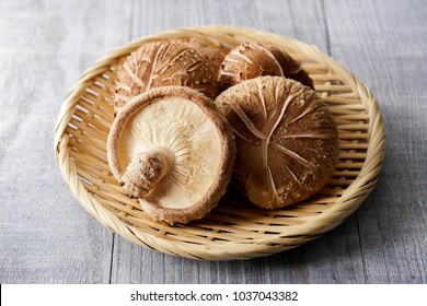 Japanese Shiitake Mushroom