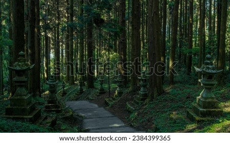 Japanese shrine in summer forest