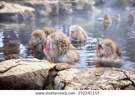 Similar – Image, Stock Photo Japanese Onsen