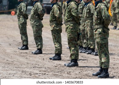 Japanese Soldier (Japan Ground Self Defense Force)