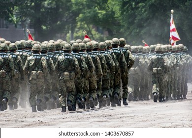 Japanese Soldier (Japan Ground Self Defense Force)