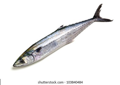 Japanese Spanish Mackerel