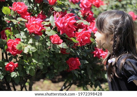 Similar – Image, Stock Photo six year old girl photographer