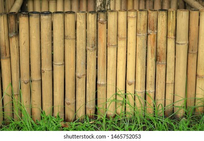 Japanese Style Bamboo Fence Panel Stock Photo 1465752053 