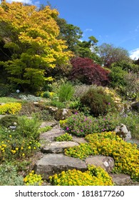 Japanese Style Summer Garden Uk