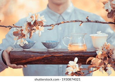 japanese tea ceremony in the spring garden, aroma cherry blossom sakura in asia