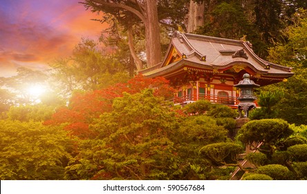 Japanese Temple In The Sunset