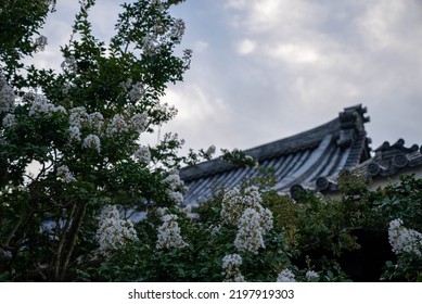 Japanese Temples And Crape Myrtle Flower