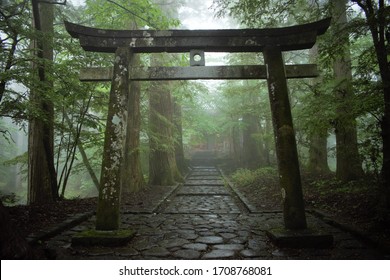 Japanese Torii Shinto Shrine Gate In The Forest, Nikko, Japan