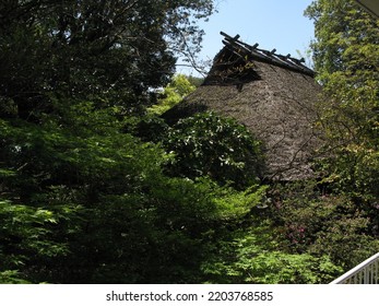 Japanese Traditional House With Thatched Roof