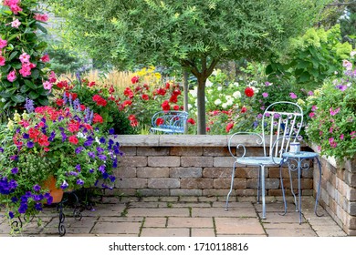 A Japanese Variegated Ornamental Willow Tree Along With Red Mandevilla, Red Roses, Red Geraniums, Purple Petunias Are Backdrop For This Tranquil Patio View In A Midwest Garden