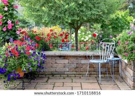 A Japanese Variegated ornamental willow tree along with bright pink mandevilla, red roses, red geraniums, red hibiscus,  purple petunias are backdrop for this tranquil patio view in a Midwest garden