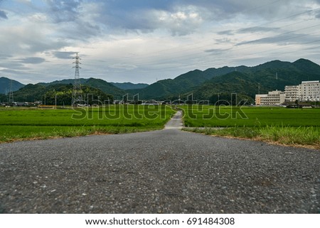 Japanese Village surrounding with Rice Field in Yamaguchi City