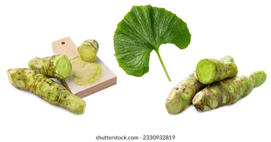Japanese wasabi with leaf and grater on white background.