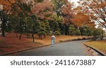 Japanese woman, kimono and walking by autumn leaves on trees and wellness for peace in nature. Person, journey and heritage by outdoor park on road, respect and traditional fashion in tokyo town