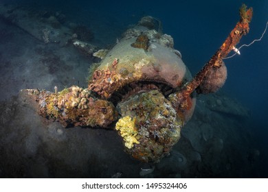 Japanese Zero fighter plane wreck from World War 2