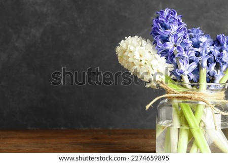 Jar with beautiful hyacinth flowers on wooden table near black wall
