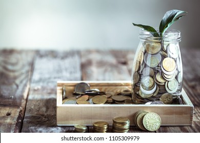 A jar with different coins and green growth growing from above, stand on a wooden background, the concept of growth and saving money