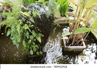 Jardin De La Fontaine Images, Stock Photos & Vectors | Shutterstock Jardin De La Fontaine Images, Stock Photos & Vectors | Shutterstock