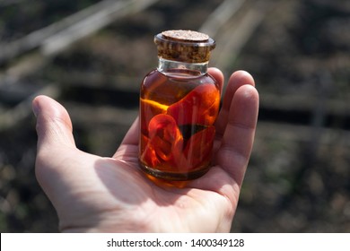 A Jar Of Olive Oil With Red Chili Pepper