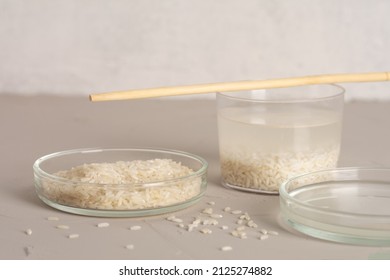 Jar Of Rice Water For Skin Care Face Cleansing Cosmetic Product. Holistic Beauty Concept, Fermented Beauty Care Trend