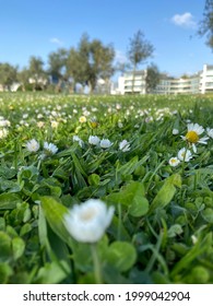 Jardim Amália Rodrigues, In Lisboa.